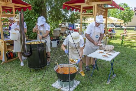 ODPRTJE GRADU DVOR (34)